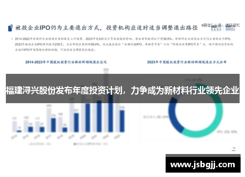 福建浔兴股份发布年度投资计划，力争成为新材料行业领先企业